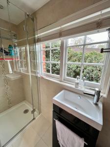 法纳姆Vine Cottage的一间带水槽和淋浴的浴室