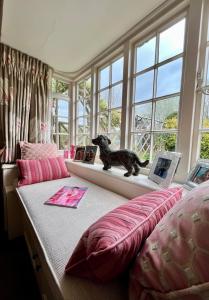 法纳姆Vine Cottage的狗坐在卧室的窗台上