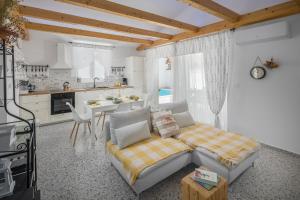 佩罗杰Spacious holiday house in Istria的带沙发的客厅和厨房
