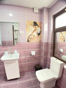 巴库里阿尼Villa in Bakuriani的粉红色的浴室设有卫生间和水槽