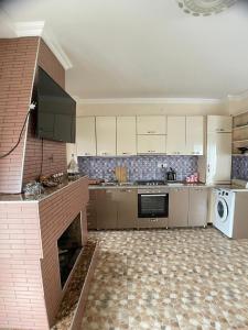巴库里阿尼Villa in Bakuriani的一间带炉灶和洗碗机的大厨房