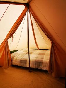 GräsmarkVolledig ingerichte tent op natuurcamping的帐篷中间设有一张床