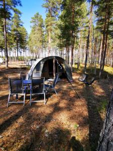 GräsmarkVolledig ingerichte tent op natuurcamping的森林中带桌椅的帐篷