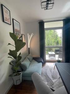 开姆尼茨Modernes Apartment in Chemnitz的客厅配有蓝色沙发和植物