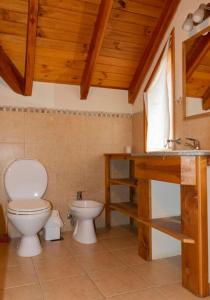 拉安戈斯图拉镇Cabaña Los Amancays的一间带卫生间和水槽的浴室