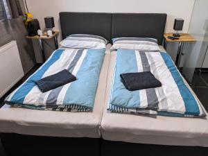 HeimsheimBusiness-Motel, Night-Checkin, Breakfast 2go, XL-Parking, free WiFi的两张单人床和两个枕头