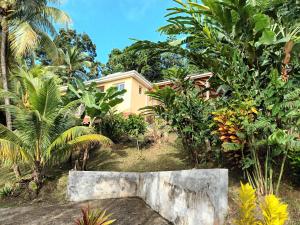 勒拉芒坦Martinique La petite maison dans la Colline的花园中树木繁茂的房屋