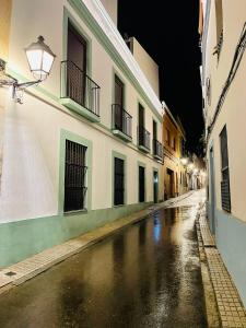 巴达霍斯Apartamentos BRAVO MURILLO con garaje en centro histórico的一条空的街道在晚上的小巷里