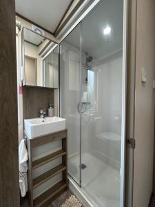 Cross InnDelightful 2 bedroom Caravan, Pencnwc, New Quay的带淋浴和盥洗盆的浴室
