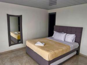 金巴亚Hotel Campestre Atardecer Cafetero的一间卧室配有一张带镜子的大床