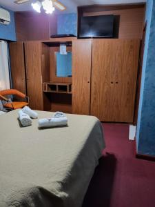 拉普拉塔Hotel Acuarius的一间卧室配有一张床、一台电视和木制橱柜。