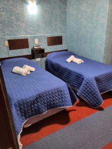 拉普拉塔Hotel Acuarius的蓝色墙壁客房的两张床