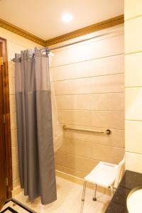 纽约艾伦酒店的浴室内设有带窗帘和椅子的淋浴