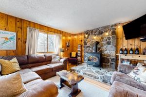 康威Rockhouse Mountain Retreat的带沙发和石制壁炉的客厅