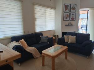 拉巴斯GoBaja Villas 2 bedroom的客厅配有2张蓝色沙发和1张咖啡桌