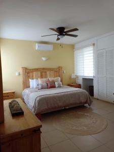 拉巴斯GoBaja Villas 2 bedroom的一间卧室配有一张床和吊扇