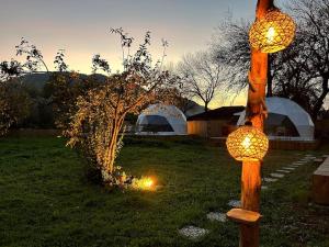 卡亚克Luvinn Kayaköy的院子里的一根杆上的几盏灯