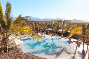 托多斯桑托斯Baja Nomads Hotel - Adults 15 Plus的一座棕榈树和椅子的大型游泳池
