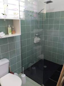 大博格Dous'Inn Kreyol Appartement的绿色瓷砖浴室设有淋浴和卫生间