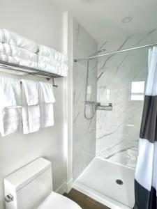 Pilleyʼs IslandThe View suites and breakfast in Triton, Newfoundland的带淋浴和卫生间的白色浴室