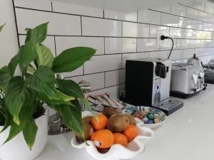 奥克兰Centre Takapuna 2 Beds & Garage & Netflix的菜柜台上一碗水果,上面有植物