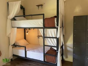 坎古丛林之家旅舍的宿舍内带双层床的房间