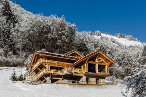 蒙特里永Chalet Grand-Duc的雪中树下的小木屋