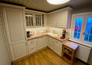 奥泊维森塔尔Die Adlerhütte的厨房配有白色橱柜、水槽和窗户。