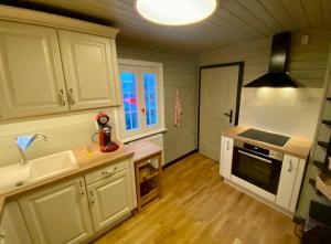 奥泊维森塔尔Die Adlerhütte的厨房配有白色橱柜、水槽和炉灶。