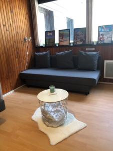 苏佩贝斯Appartement Super Besse的客厅配有沙发和桌子