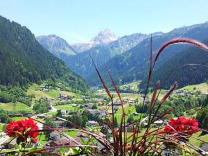 加舒恩Alpenpension Maderer的享有山谷中小镇的山景