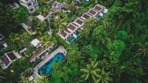 乌布乌布阿摩拉精品别墅的享有带游泳池和树木的度假村的顶部景致