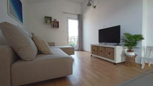 罗加克Villa Porto的带沙发和平面电视的客厅