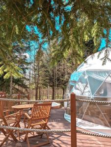 弗勒希察Medve Dome - Luxury Camping in the middle of nature的木制甲板上的帐篷和椅子