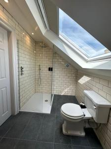 海伦斯堡Rooms Above Sugar Boat的浴室设有卫生间和带天窗的淋浴。