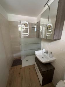 托尔明Apartma ALTA的一间带水槽和镜子的浴室