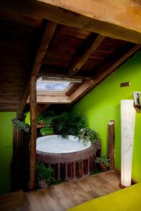 Losana de PirónEl Planeta Escondido的一间设有绿色墙壁和大型白色浴缸的客房