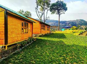 柴尔Golden valley cottages, Chail的草场上的一个小木房子