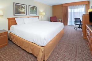 雷顿莱顿盐湖城拉金塔旅馆及套房酒店的酒店客房设有一张大床和一台电视。