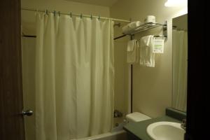 怀特霍斯Destination Family Hotel的浴室配有淋浴帘和盥洗盆。