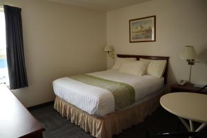 怀特霍斯Destination Family Hotel的一间位于酒店客房的卧室,配有一张床