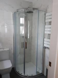 康威Charming Mid Terrace Cottage的一间带卫生间的浴室内的玻璃淋浴间