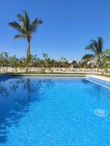 Ma‘mūrahHawana Salalah luxury 1BR TH with private pool的一座棕榈树环绕的大型游泳池