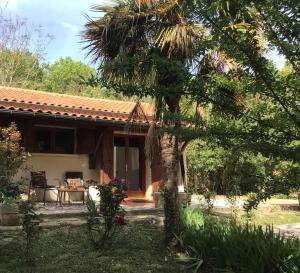 雷克图尔Le gîte de Gascogne的院子里有棕榈树的房子