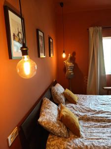 波罗斯洛Tisza Love的一间卧室拥有橙色的墙壁,配有一张带枕头的床。