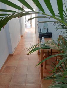 阿雷西费Casa Mocan的走廊上设有桌子和植物