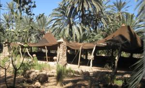 阿加迪尔Riad dar asalam的棕榈树花园中间的帐篷