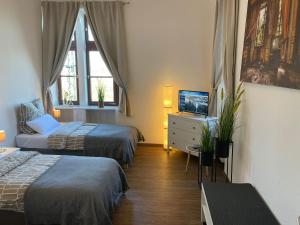 巴特温普芬Charmante Wohnung am Neckar的酒店客房设有两张床和电视。