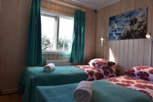 布伦迪欧斯Laxás Cottage的一间卧室设有两张带绿色窗帘的床和窗户。