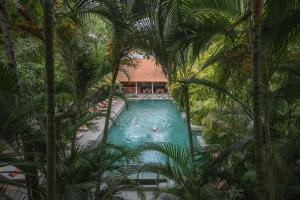 金边Plantation Urban Resort & Spa的享有棕榈树游泳池的顶部景致